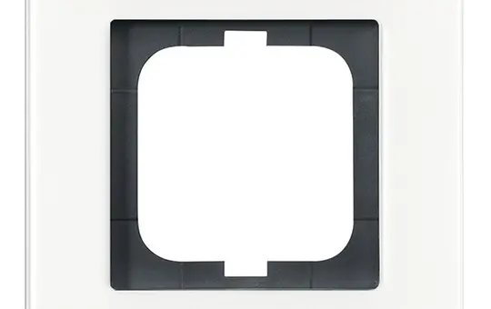 BUSCH-JAEGER Cover Frame Carat 