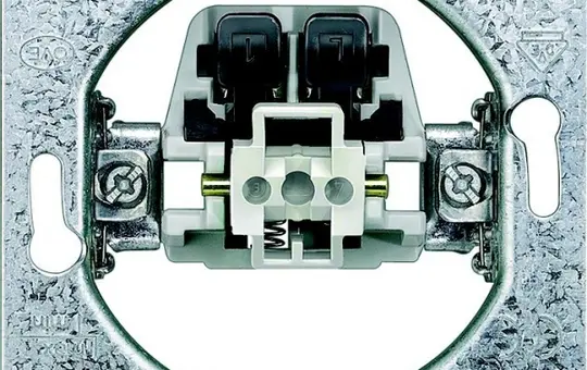 SIEMENS Rocker Switch 