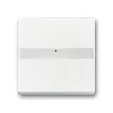BUSCH-JAEGER rocker switch Future 