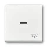 BUSCH-JAEGER rocker switch Future 