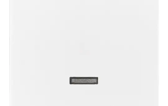 BUSCH-JAEGER Plaque de commande pour variateur Future 