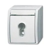 BUSCH-JAEGER Key Switch Ocean 