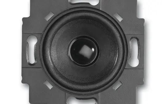 BUSCH-JAEGER Module haut-parleur encastré 