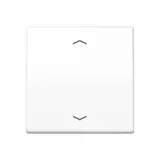 JUNG Control Button with Arrow Symbols Series AS 