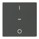 BERKER Plaque de recouvrement pour capteur tactile Q.1/Q.3 