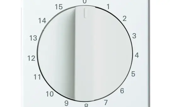 BUSCH-JAEGER Timer Cover Future 