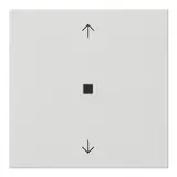 GIRA opaque control cover S3000 System 55 