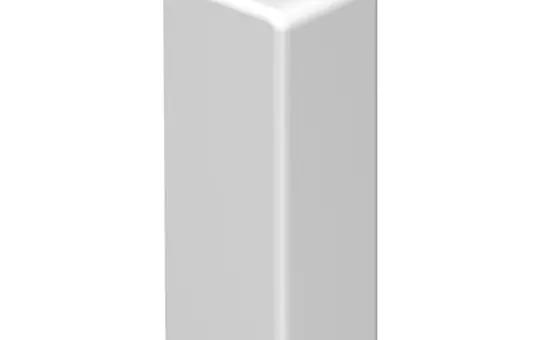 OBO BETTERMANN 6154522 Embout WDK blanc pur | 10x30 mm