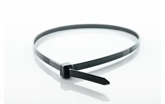 Colliers de serrage résistants aux UV 1693964 noir | 160x4,8 mm