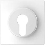 MERTEN Key Switch Cover Design 