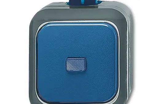 BUSCH-JAEGER 2601/6WDI Rocker switch Duro 2000 WDI Changeover switch