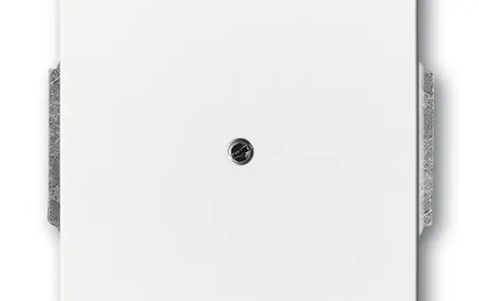 BUSCH-JAEGER 1742-84 Blank Cover Future standard | studio white
