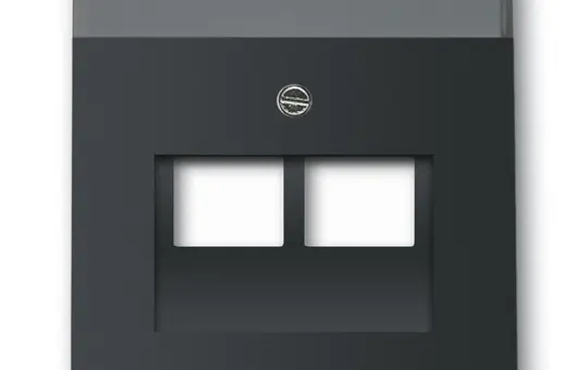BUSCH-JAEGER 1803-02-885 Plaque de réseau Future 2 fois | noir mat