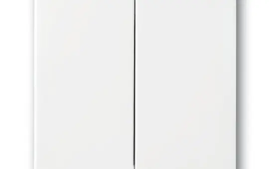 BUSCH-JAEGER 1785-84 Basculante Future 2 fois | blanc studio