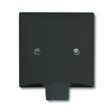 BUSCH-JAEGER 2133-35 Cable outlet cover All-weather 44 standard | anthracite