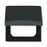 BUSCH-JAEGER 2118GK-35 Intermediate Frame All-Weather 44 Duro/Reflex, hinged lid, IP44 | anthracite