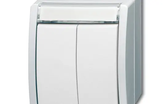 BUSCH-JAEGER 2621WN-54-205-101 Double bouton Ocean 2 closers | blanc alpin