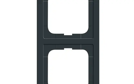 BUSCH-JAEGER 1722-181K Cover Frame Future Linear 2-fold | anthracite