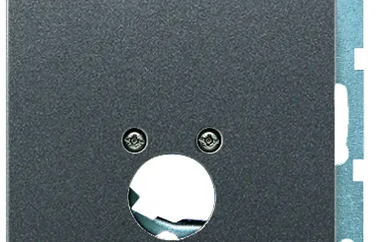 JUNG AL2962-1D Speaker Socket Cover Series LS 1-fold | dark