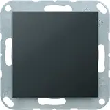 JUNG A594-0ANM Blind Cover Series A/AS snapped | anthracite matt
