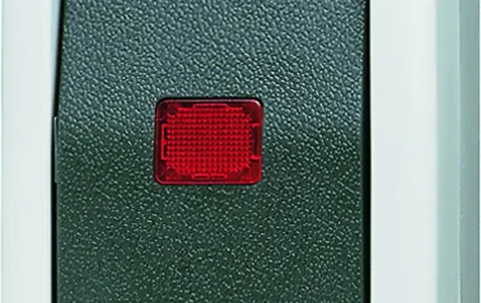 JUNG 806KOW Rocker Control Switch Surface-Mounted Series WG 800 Changeover switch