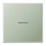 JUNG ES2990KO5 Control Rocker Series LS 1-fold | stainless steel