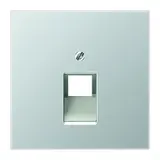 JUNG AL2969-1UA Network Cover Series LS 1-fold | aluminum