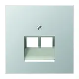 JUNG AL2969-2UA Network Cover Series LS 2-fold | aluminum