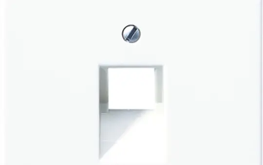 JUNG LS969-1UAWW Couverture réseau série LS célibataire | blanc alpin