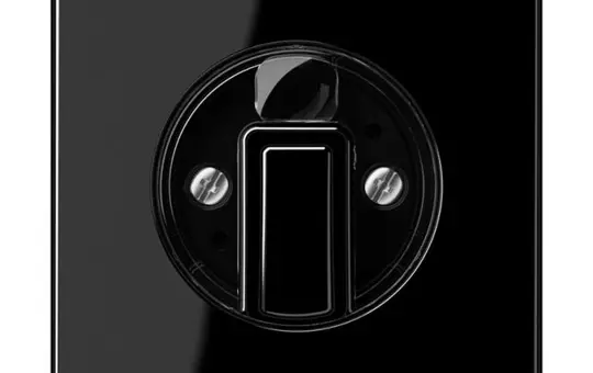 JUNG CD1541SW Rotary switch cover with knob Series CD black