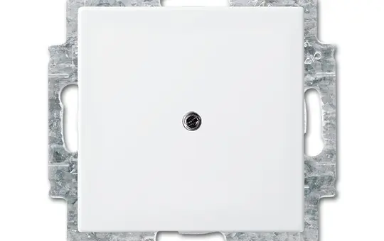 BUSCH-JAEGER 2538-914 Blind Cover Balance SI with claws | alpine white