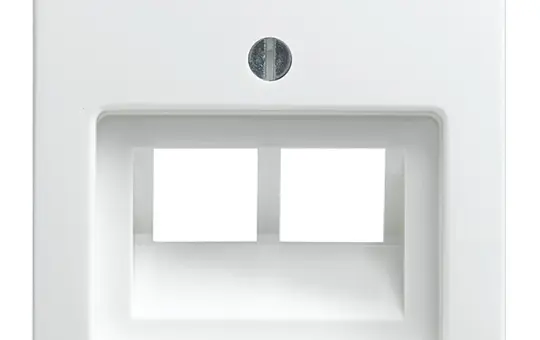 BUSCH-JAEGER 1803-02-914 Network Cover Balance SI 2-fold | alpine white