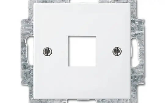BUSCH-JAEGER 2561-914 UAE Central Plate Balance SI 1-fold | alpine white