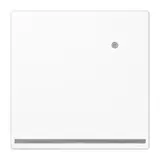 JUNG LS1539-OWWLNW Lumière d'orientation LED série LS avec capteur de luminosité | blanc alpin