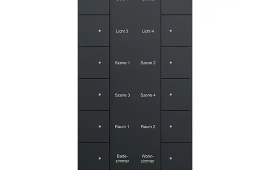 BUSCH-JAEGER SB/U12.0.11-885 Capteur tactile KNX Tenton 12 fois | noir mat