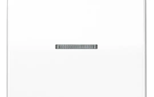 JUNG AS101KO5WW Interrupteur de contrôle KNX série AS célibataire | blanc alpin