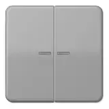 JUNG CD102KO5GR Wippe de contrôle KNX F10 série CD 2 fois | gris