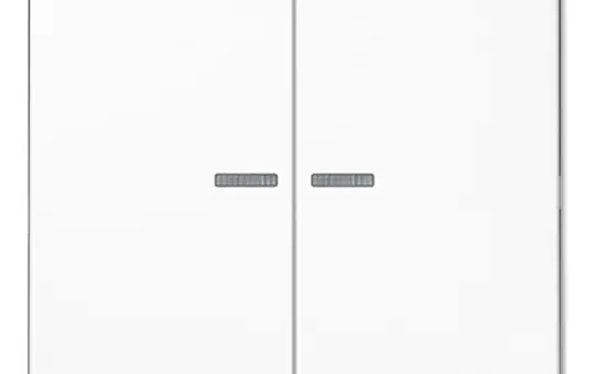 JUNG LS102KO5WW Interrupteur de contrôle KNX F10 série LS 2 fois | blanc alpin