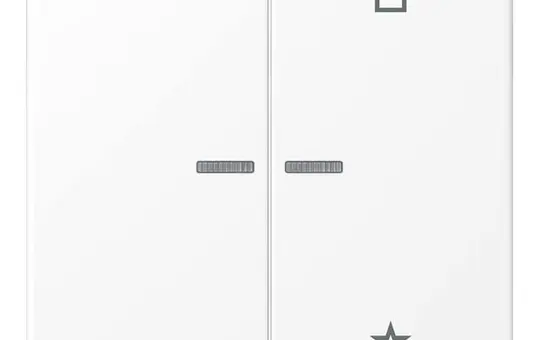 JUNG FMLS1701WWM eNet wireless control push button Series LS 2-fold | snow white matt