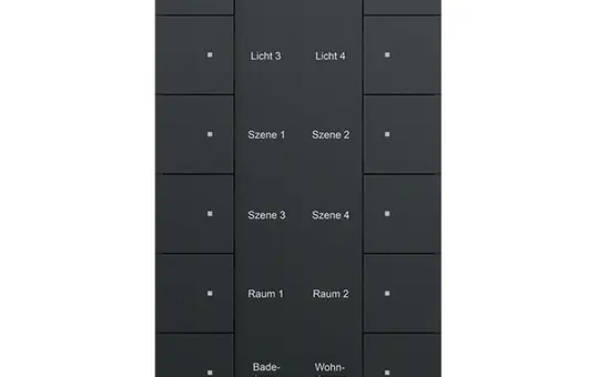 BUSCH-JAEGER SB-F-12.0.11-885 f@h touch sensor tenton 12-fold | matt black