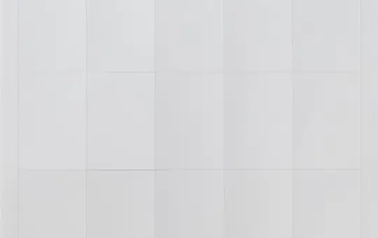 GIRA 109000 Feuilles d'étiquettes 38x54 mm