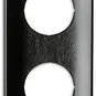 morepic-1
