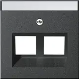 GIRA 264028 Modular Jack Cover System 55 2-fold, label field | anthracite