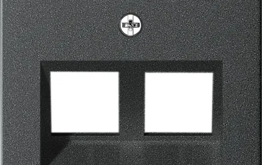 GIRA 264028 Modular Jack Cover System 55 2-fold, label field | anthracite