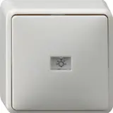 GIRA 015613 Surface-Mounted Rocker Switch Changer | pure white