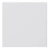 GIRA 810803 Blank Cover System 55 without support ring | pure white shiny