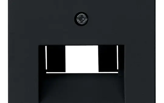 GIRA 0270005 Network Cover System 55 1/2 times | matt black