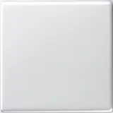 GIRA 029603 Rocker System 55 1-fold | pure white shiny