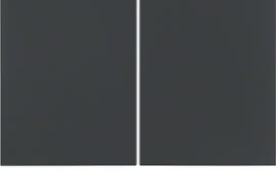 BERKER 85142175 Button K.1/K.5 2-fold | anthracite matt painted