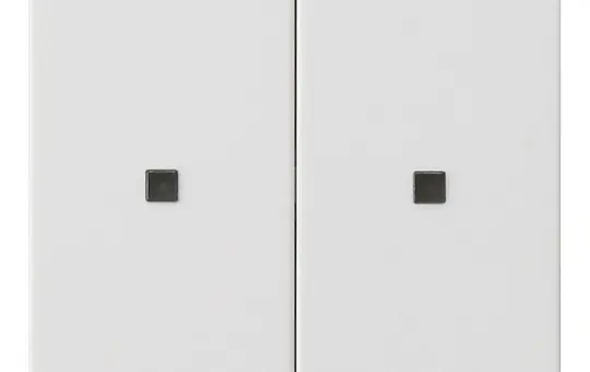 GIRA 536927 Operating unit S3000 System 55 2-fold, LEDs | pure white satin matt